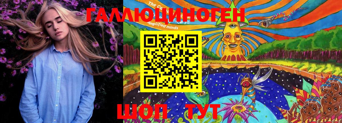 Псилоцибиновые грибы Psilocybe  Вход с VPN  Новороссийск 