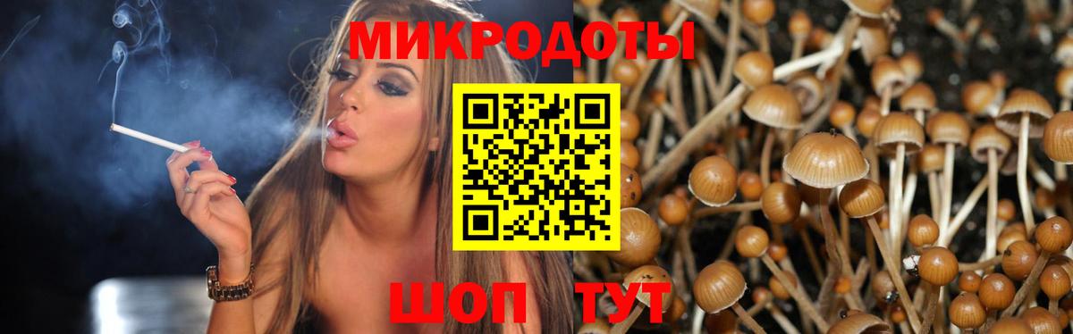 Псилоцибиновые грибы Cubensis Новороссийск